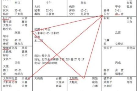 紫微斗数之子女宫与诸星，天相星在子女宫是什么意思？