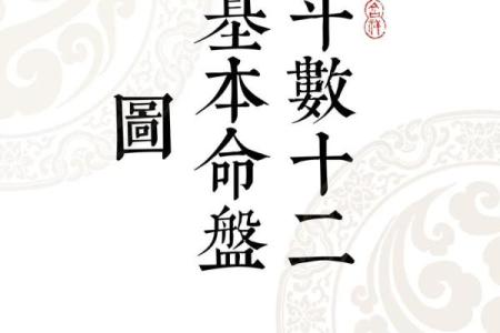 紫薇斗数中国网