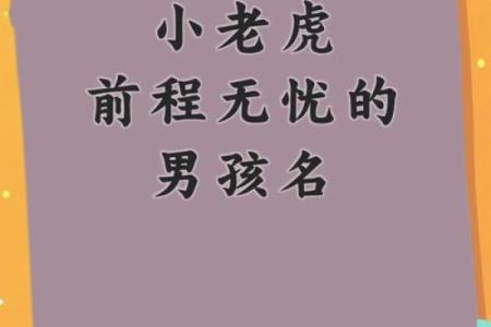下午出生的属虎男孩应该起什么名，宜用什么字姓名
