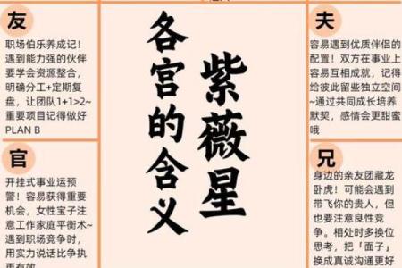 紫薇斗数紫薇星+财锦