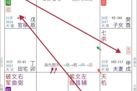 紫薇斗数化禄在夫妻宫
