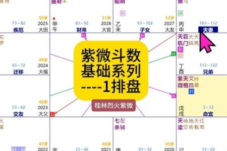 紫薇斗数速成