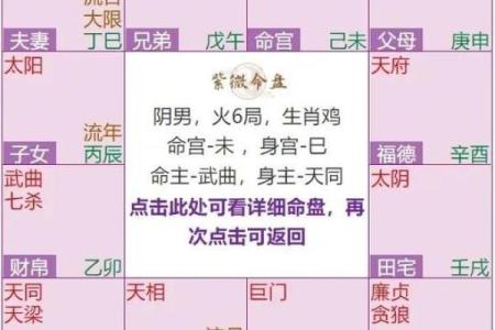 紫微排盘命宫自化忌 紫微斗数自化忌详解之命宫自化忌