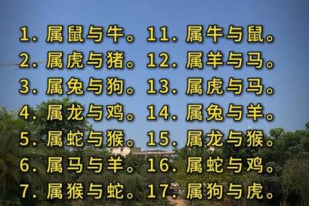 婚姻属相配对大全很准