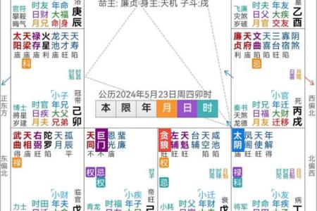 紫薇斗数流年太阳化忌