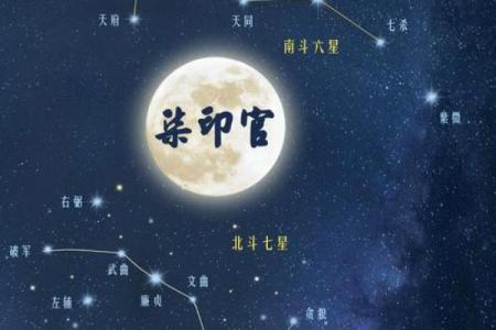 梅花占卜和紫薇斗数的区别