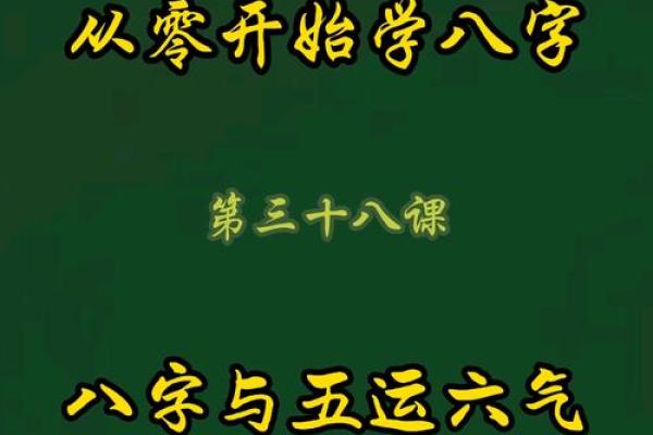 八字基础视频