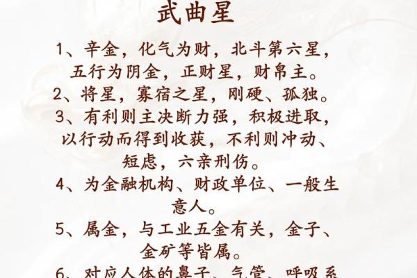 神巴巴紫薇斗数下载