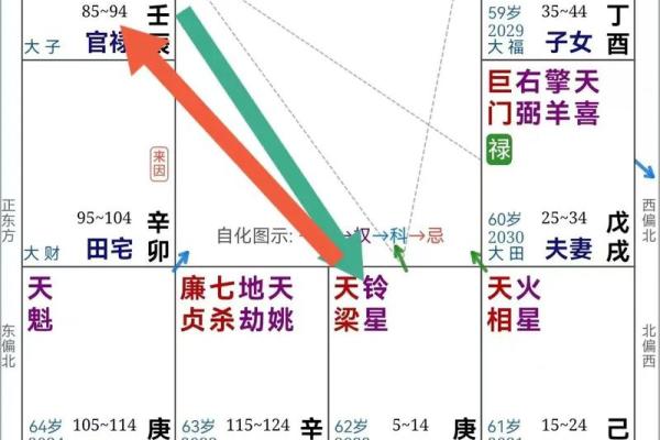 年天降紫薇星是后