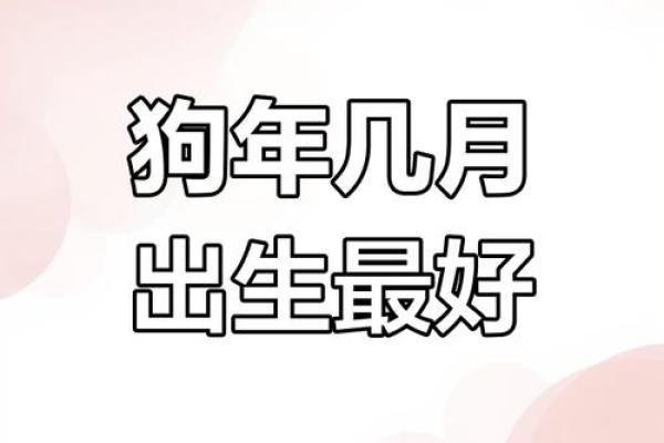 中午出生的属狗男孩应该取什么名，用什么字好姓名