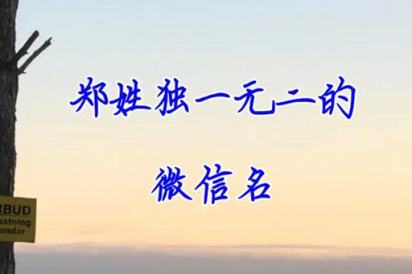 郑姓男孩名字大全-郑姓男孩起名字大全-郑姓名字大全姓名