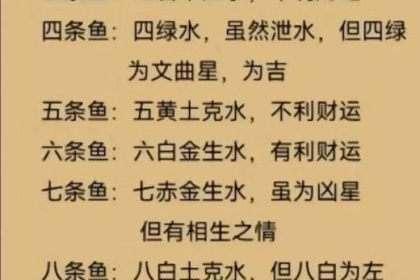 家里养鱼也是有一些风水禁忌的