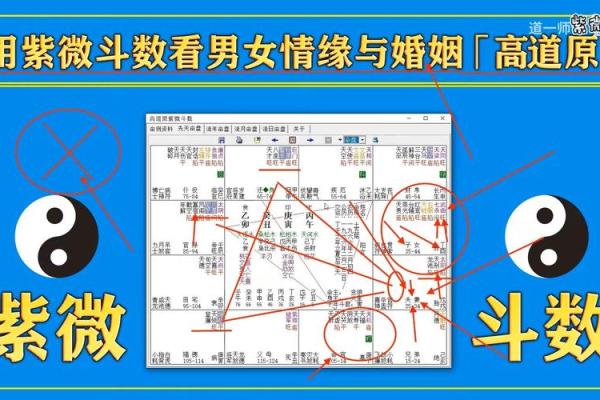 紫薇斗数教学初级