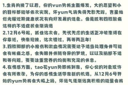 十二月份出生的属狗男孩应该怎样取一个好名字姓名