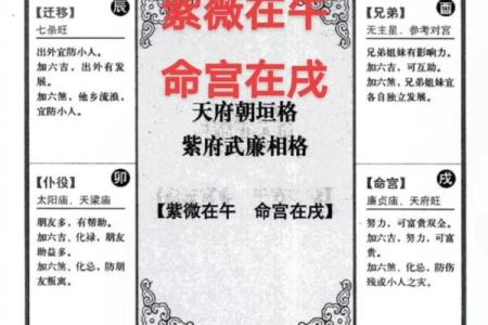 紫薇斗数文章