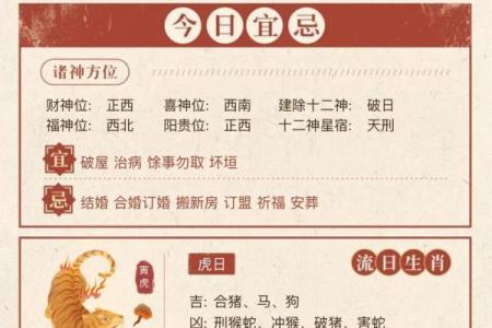 2024年11月23日打麻将最佳方位,今日赢钱选哪方