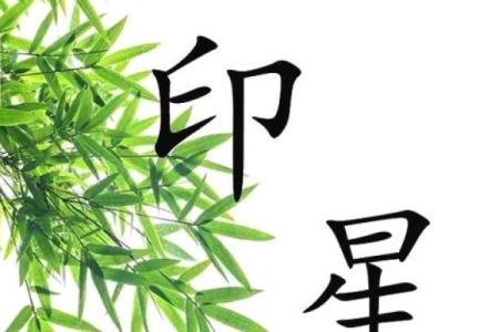 李双林八字讲财库