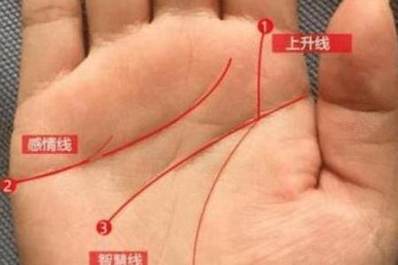 风水生命线分叉代表什么好不好