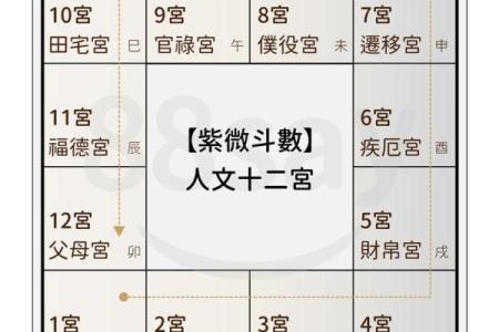 紫薇斗数紫薇五行