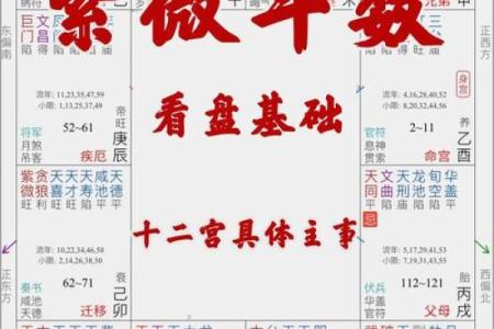 紫微斗数任务在哪接 紫微斗数引导任务？