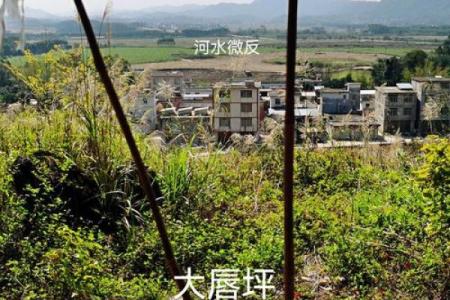 祖坟的风水_是一个家庭更好的风水你认同这句话吗
