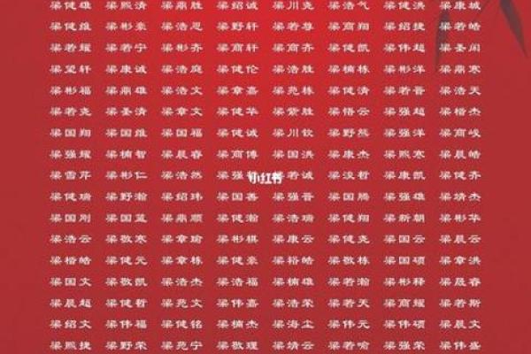 2019年6月18号子时出生的男孩起名方法姓名