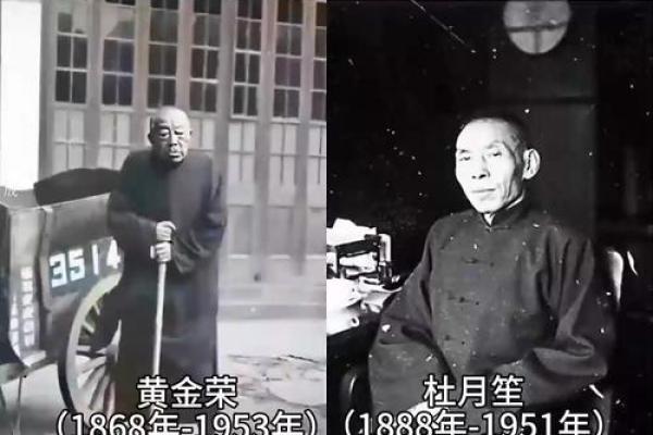 黄金荣紫薇斗数