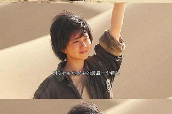 什么八字可以当导演 导演适合什么八字
