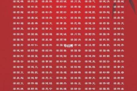2019年6月18号子时出生的男孩起名方法姓名