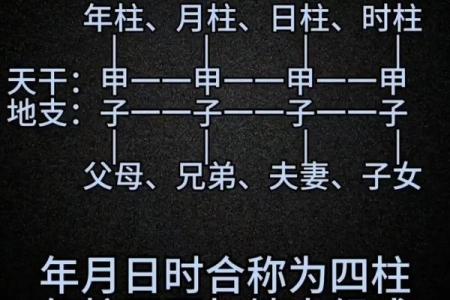 时空八字：详解八字命理基础知识