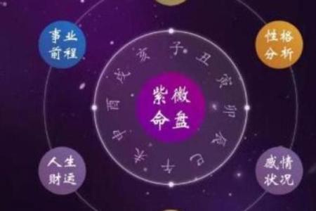 紫薇斗数迁移宫紫微
