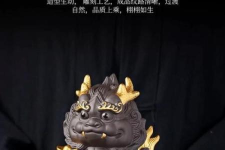神龙风水攻略