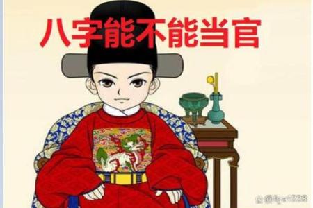 当官的八字