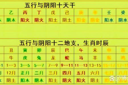 八字基础，干支阴阳差异