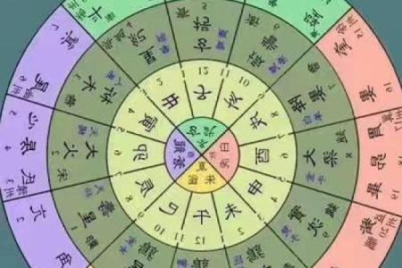 马大夫紫薇斗数