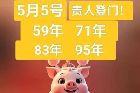 属猪是哪一年出生的 属猪的男孩出生吉日