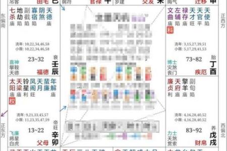 紫薇斗数父母宫看配偶家境