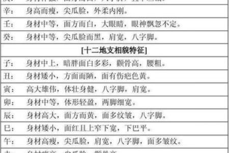 中国有多少种算命方法