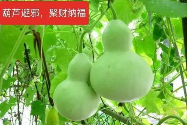 风水葫芦摆放家里门口是可以化煞的吗