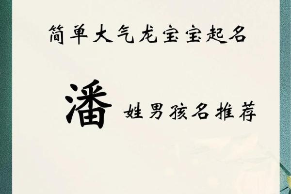 2019年出生的姓潘女孩如何起名，宜用什么字姓名