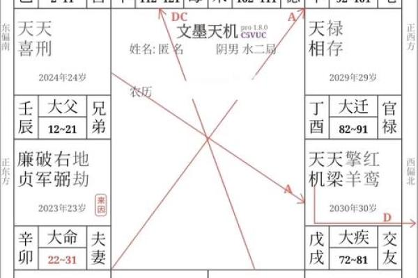 紫薇斗数行运大限