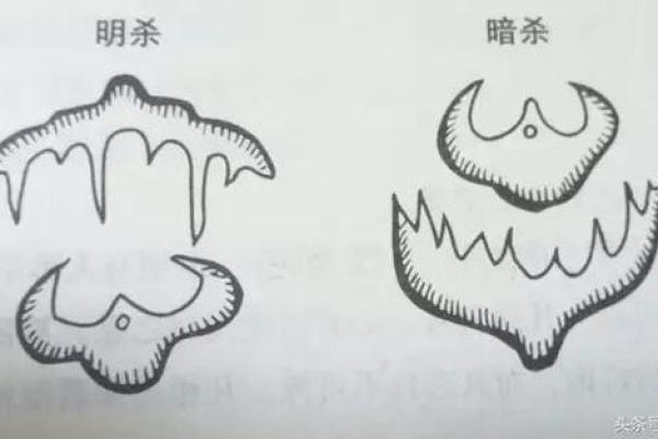 墓地风水之十不葬