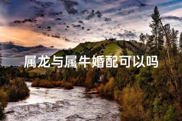 属龙和属牛的八字合吗