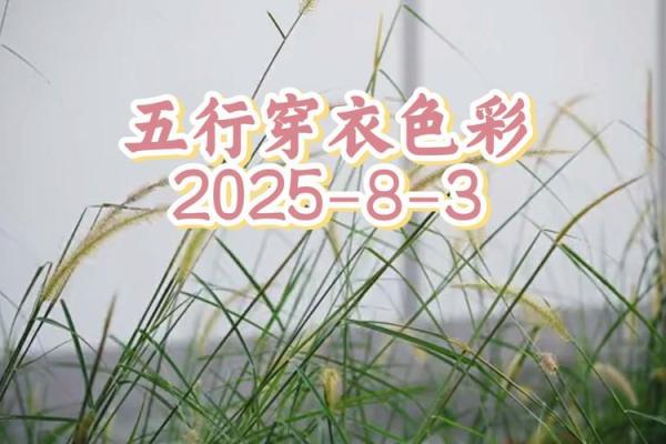 财神方位与五行配色  每日五行穿衣旺衣指南