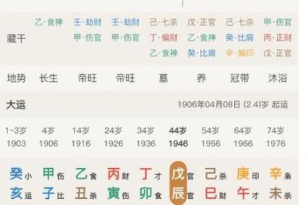 生辰八字夫妻宫壬水