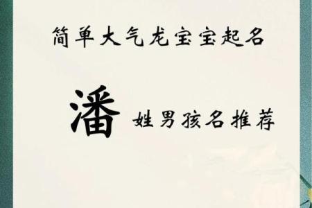 2019年出生的姓潘女孩如何起名，宜用什么字姓名