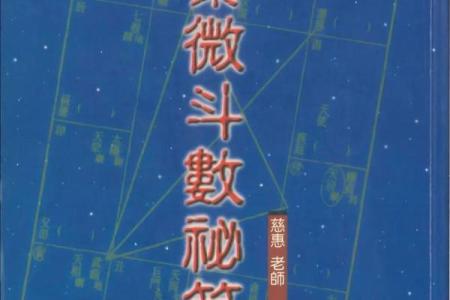紫薇斗数实战视频