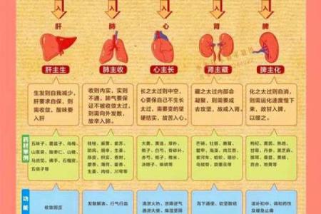 有名的老中医竟然都会算命？中医与五行八卦是什么关系？