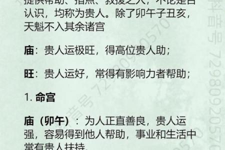 紫微斗数排盘天魁星坐命宫分析,十二宫分析