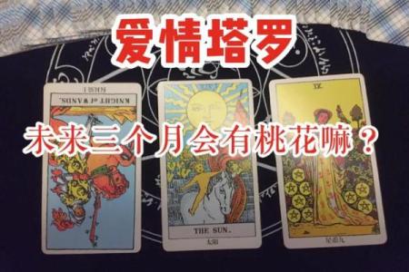 明月塔罗：测试什么类型的工作适合你-